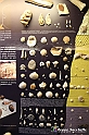 VBS_9090 - Museo Paleontologico - Asti